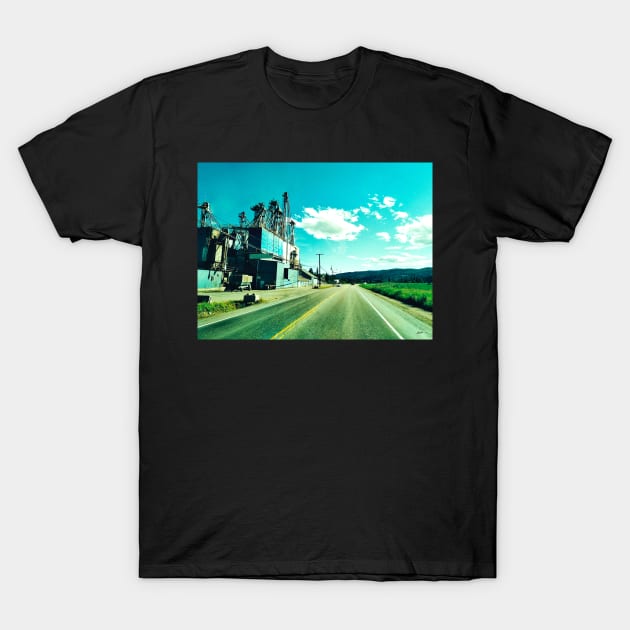 Vernon-Sicamous Highway, Grindrod T-Shirt by Nalidsa